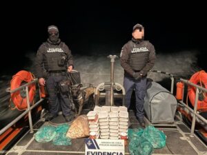 Gran incautación en el Golfo Almirante Montt: Tráfico Ilegal de Centolla y Pulpo