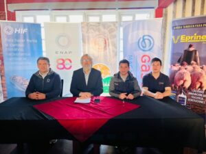 Magallanes lanza Jornadas Ganaderas 2025