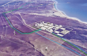 Ciudadanía propone mejoras para resguardar ecosistemas en proyecto H2 Magallanes