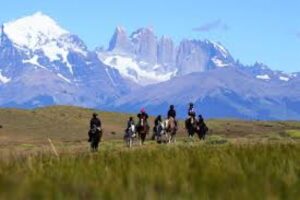 Estancia Cerro Guido obtiene el primer sello internacional de vida silvestre en Chile