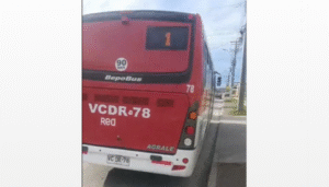 Indignante: chofer de bus de transporte público atropelló a perro y se dio a la fuga