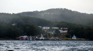 Puerto Toro: la única localidad centollera del planeta abre sus puertas al turismo
