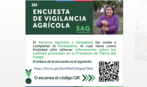 SAG Tierra del Fuego invita a participar de encuesta agrícola provincial