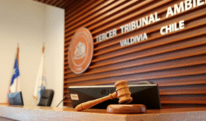 Tribunal Ambiental rechaza reclamación contra proyecto energético en Natales