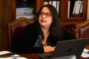 Dipres defiende criterios técnicos y Gores piden mayor incidencia en ejecución de recursos
