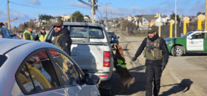 Refuerzan fiscalizaciones en Magallanes durante la semana de Fiestas Patrias
