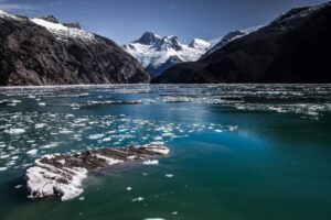Estudio entrega sorprendente conclusión sobre contaminación en el Canal Beagle