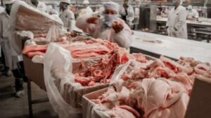 Chile amplía sus horizontes comerciales con la apertura del mercado de Emiratos Árabes para carne de cerdo