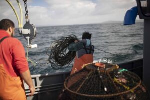 Pesca y acuicultura crecen casi 60% en la Región de Magallanes