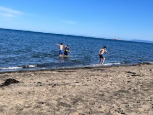 La primavera sorprende a Punta Arenas y llena de vida el borde costero