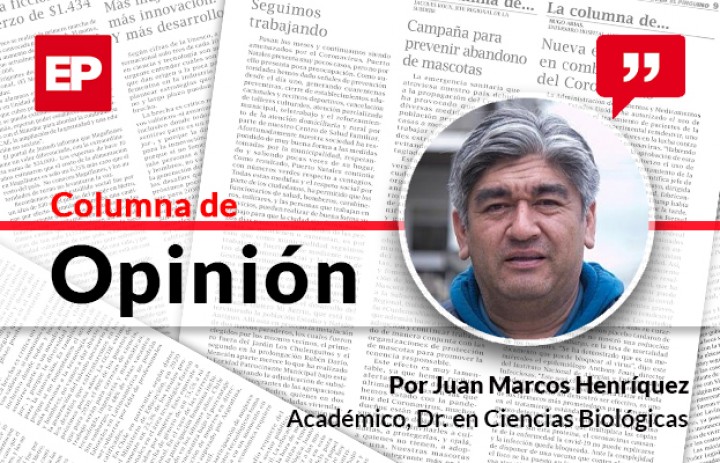 Plazos de evaluación ambiental