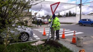 Municipio de Punta Arenas repone más de 400 señales de tránsito