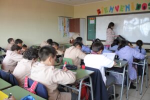 Colegio de Profesores de Magallanes celebra avance de Ley de Titularidad Docente