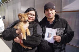 Jornada de adopción en Punta Arenas logra siete nuevas familias para perritos