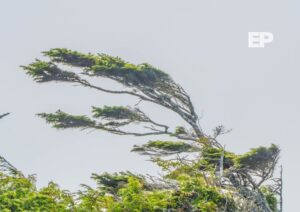¿Cómo estará el clima en Magallanes este fin de semana?