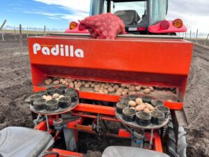 INIA Kampenaike fortalece la soberanía alimentaria en Magallanes