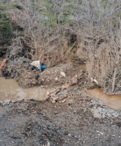 Macabro hallazgo de caballar  muerto camino al Cerro Andino