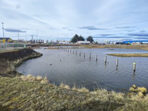 Invitan a limpiar el Humedal Tres Puentes con voluntariado ambiental