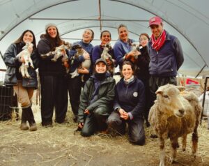 La historia de las estudiantes charrúas que están salvando ovejas en la Patagonia