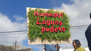 Estado declara como humedal urbano a la Laguna Pudeto en Punta Arenas