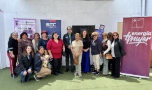 SEC Magallanes ofrece talleres de energía segura y eficiente para mujeres jefas de hogar