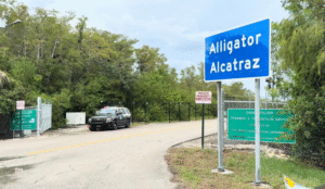 Son cinco los chilenos  detenidos en “Alligator Alcatraz” de EE.UU.