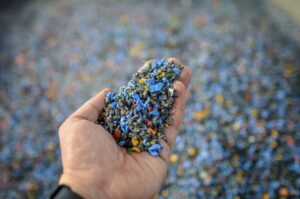 Innovador emprendimiento busca  proteger el ecosistema magallánico