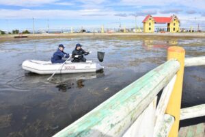 Retiran más de 100 kilos de desechos del humedal del Parque María Behety