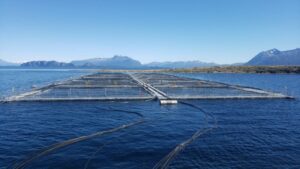 Tribunal aprueba el nuevo plan de  reorganización de Nova Austral