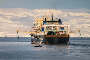 Exigen moratoria a la pesca de krill por medidas de protección