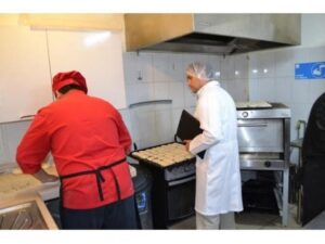 Seremi de Salud mantiene vigilancia por Salmonela tras casos recurrentes en Magallanes