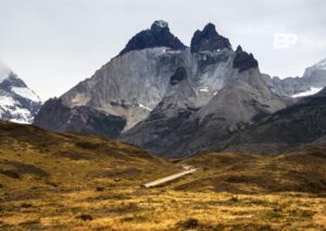 Confirman que la causa de muerte de los cinco turistas en Torres del Paine fue por hipotermia