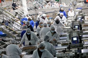 Mercado laboral chileno registra saldo positivo en creación de empleo formal a junio de 2025