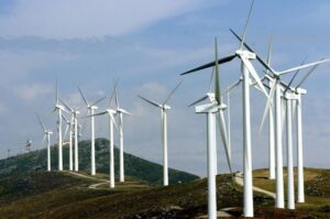 Acuerdo histórico busca proteger al cóndor frente al avance de la energía eólica