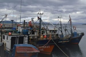 Región de Magallanes concentra más de 12 mil  inscripciones en Registro de Pesca Artesanal