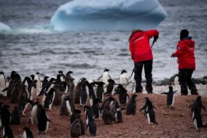 Universidades impulsan alianza para fortalecer la docencia e investigación en la Antártica