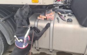 Cinco años de cárcel a camionero por tráfico de drogas: cumplirá pena en libertad vigilada
