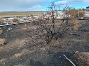 Suministro residencial de gas estaría totalmente cubierto, pero GNC continúa suspendido