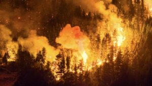 Torres del Paine refuerza seguridad ante incendios en Argentina y aumento de accidentes turísticos
