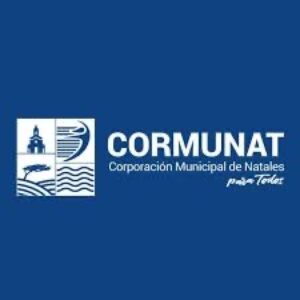 Municipio de Puerto Natales enfrenta pago de más de $1.000 millones por “indemnizaciones de oro”