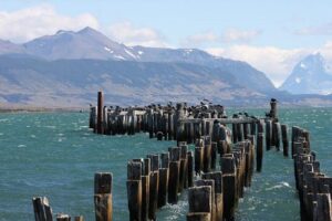 Sobreviviente de femicidio frustrado en Puerto Natales: “No estoy de acuerdo con que repitan el juicio, esta persona intentó matarme”