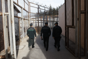 Detienen a 7 gendarmes por asociación criminal y lavado de activos