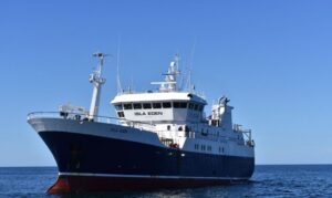 Hito en la industria austral: Pesca Cisne invierte en moderno buque factoría para Magallanes