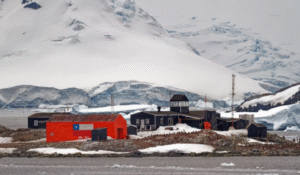 Integran oficialmente el Día de la Antártica Chilena al calendario escolar 2026