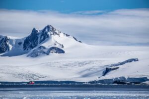 Científicos extranjeros analizarán las heces de pingüinos de la isla Rey Jorge