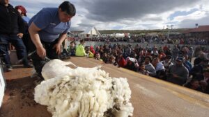 Salud despliega fiscalización en Villa Tehuelches por Festival de la Esquila