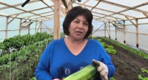 Productora de Porvenir lidera transición agroecológica en Tierra del Fuego