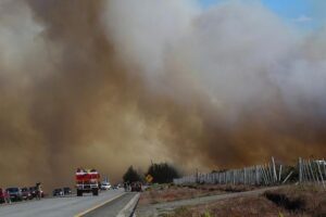 Declaran Alerta Temprana Preventiva Regional por riesgo extremo de incendios forestales en Magallanes