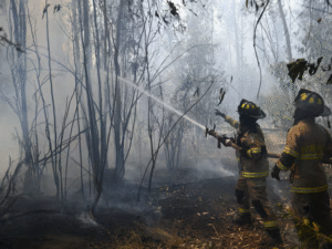 Expertos analizan la mente detrás de los incendios intencionales