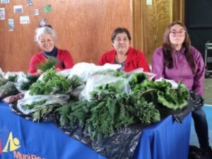 Servicio País realizó Cuenta Pública en Porvenir junto a Expo Feria de Saberes Campesinos
